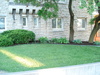 Mulch_it_llc_019