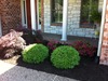 Mulch_it_llc_1