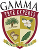 Gamma_tree_logo