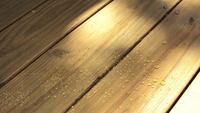 Dsc00079_2