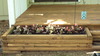 Dsc00103_2