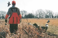Flyingfeathers.profile