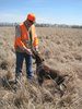 Flyingfeathers.huntingdogs