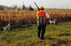 Flyingfeathers.hunting.4