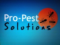 Pro-pest_solutions