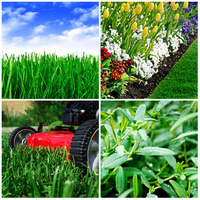 Rg_lawn_and_landscaping