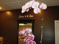 50288_90787623780_874853_n