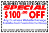 Businesswebdesignpackagecoupon100