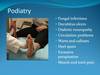Slide12