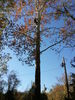 2011-10-31_10.18.22