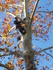 2011-10-31_10.18.50