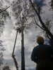2011-11-02_10.36.54