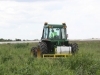 Thumbs_department-of-transportation-wiping-highway-median