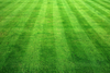 Istock_000004847253xsmall