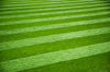 Art-of-lawn-mowing-1_-lawn-2.s600x600