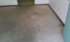 Carpet1a