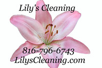 Lilyscleaning