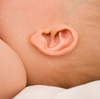Baby_ear