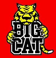 Bigcatlogo