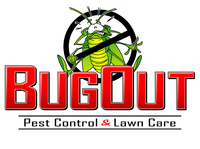Bug_out-688x512