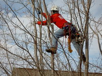 Brochure_pic_for_jen