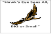 Hawks_eye_see_all