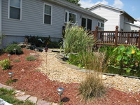 Aim_to_amaze_photos_167