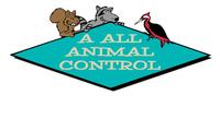 Color_logo