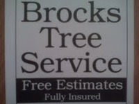 Brocks_tree_service