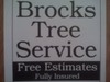 Brocks_tree_service