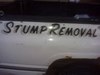 Stump_removal