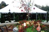 Tent4