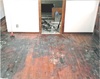 Before_picture_for_jake