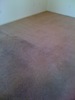 Carpet_pics