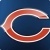 Bears_logo