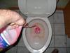 Sam_2936