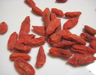 Goji3