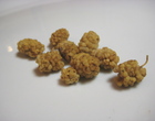 Mulberries2
