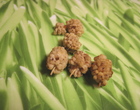 Mulberries3