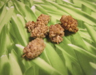 Mulberries4