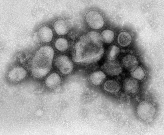 B00526_h1n1_flu_med