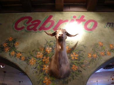 Cabrito