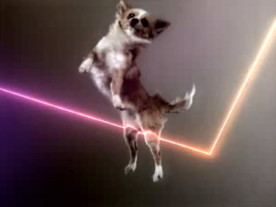 Flying-dog