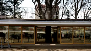 Fuji-kindergarten
