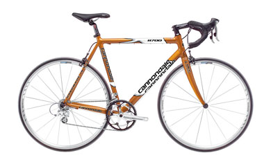 New-bike