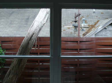 Out-the-kitchen-window