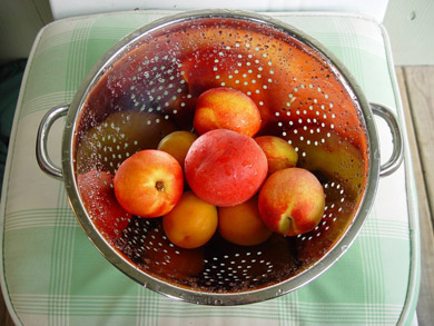 Peaches