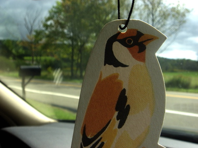 Pinebird