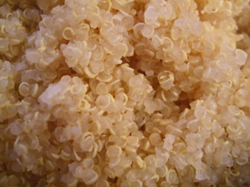 Quinoa_salad