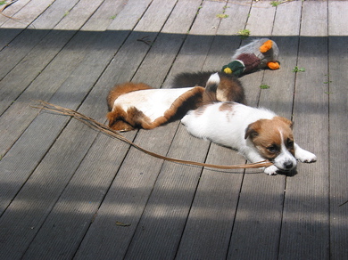 Rory-with-ducky